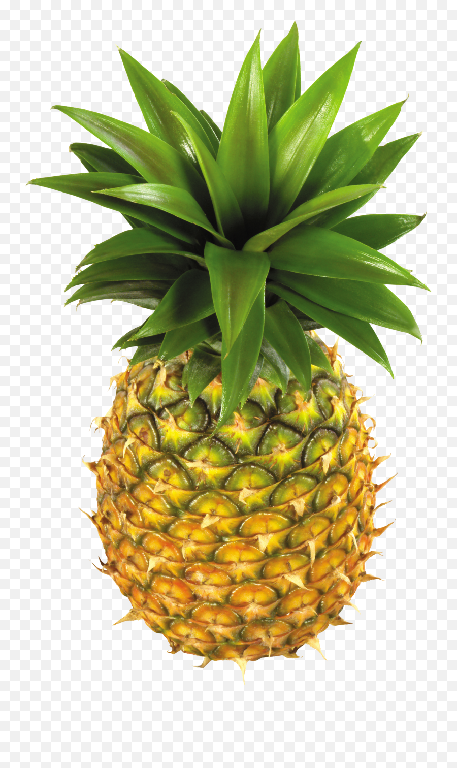 Pineapple Clip Art Free Clipart Images - Pineapple Fruit Clip Art Png,Fruit Transparent
