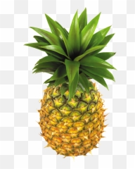 Pineapple Clip Art Free Clipart Images - Pineapple Fruit Clip Art Png,Fruit Transparent
