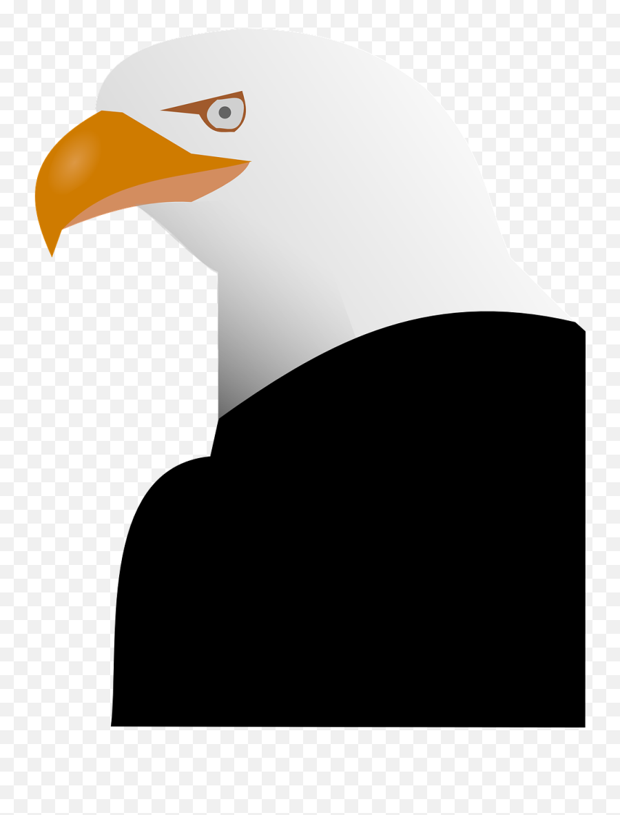 Eagle Animal Beak Bald Feather Png Spread Icon