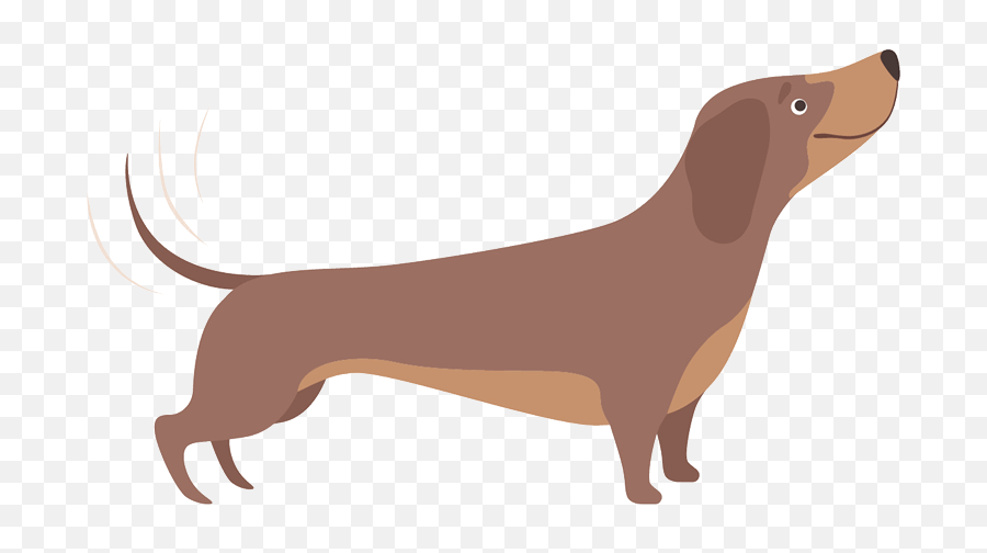 Experienced Dog Breeders Dachshunds Country Style - Illustrations Dog Activities Png,Dachshund Icon