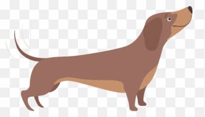 Experienced Dog Breeders Dachshunds Country Style - Illustrations Activities png