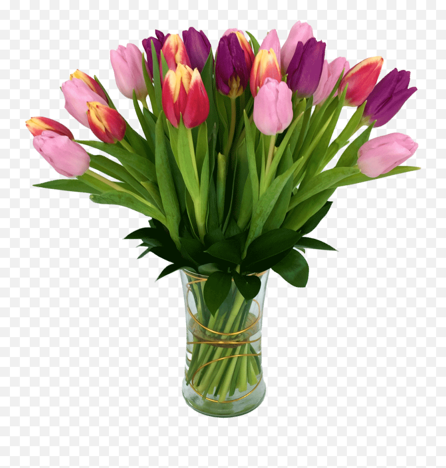 Tulip Treasure Png Transparent