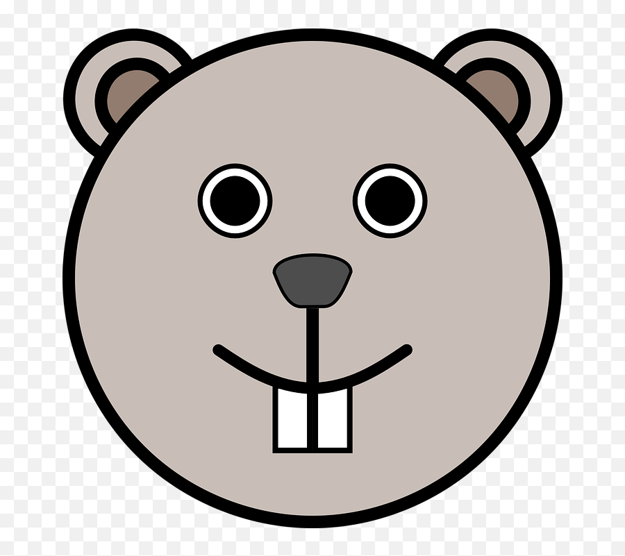 Head Mouse Circle - Teddy Bear Face Outline Png,Animal Head Png