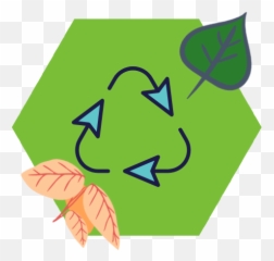 Etsy Shop Icon - Petralonga Drawing png