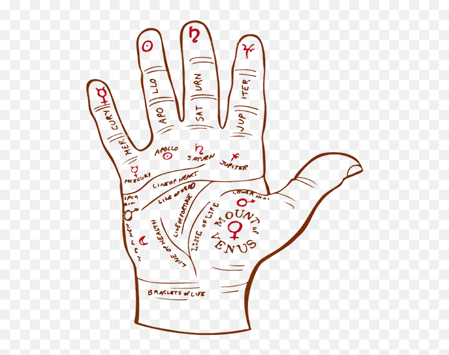 Best Palmist Astrologer Palm Reader Palmistry Services - Psychic Palm Reading Png,Hand Palm Png