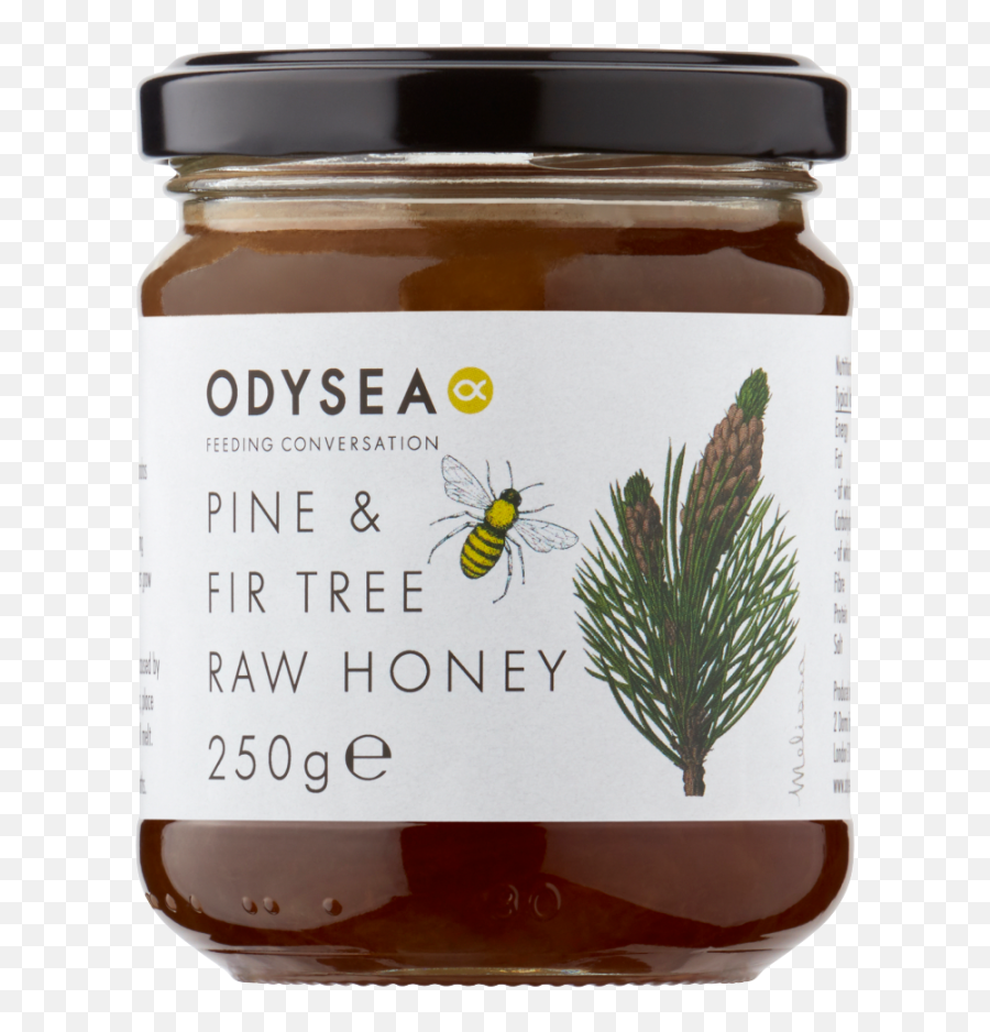 Odysea Pine U0026 Fir Tree Honey 250g - Greek Honey Online Uk Png,Honey Transparent