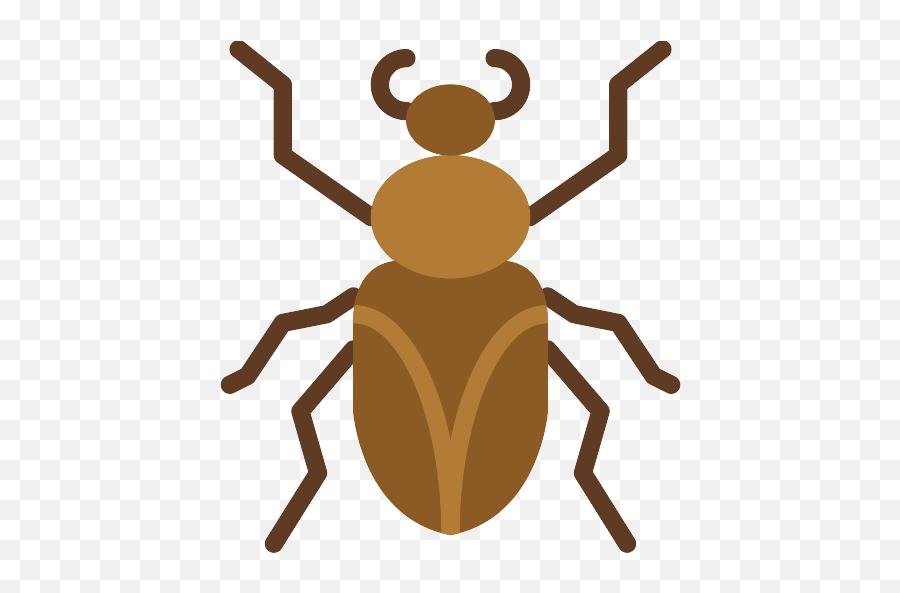 Roach Png Icons And Graphics - Weevil,Roach Png