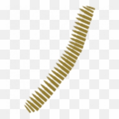 Ammo Belt Png 5 Image - Transparent Background Bullet Belt Png