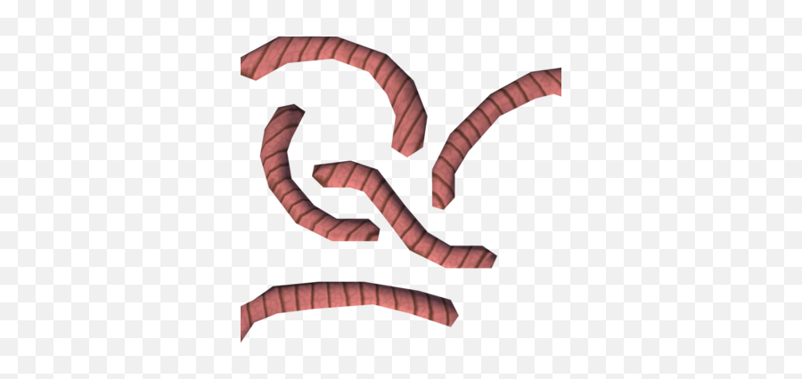 Worms - Millipedes Png,Worms Png