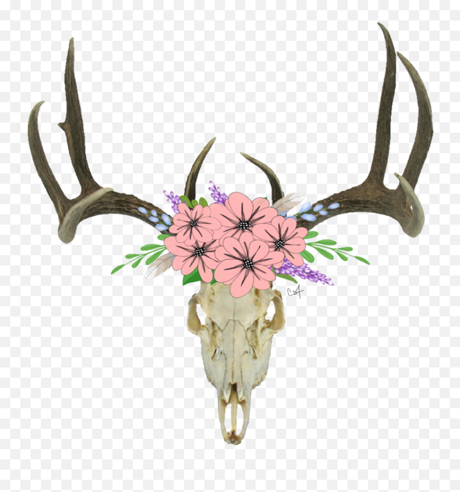 Deer Skull Transparent Background Cartoon - Deer Skull With Flowers Png,Deer Transparent Background