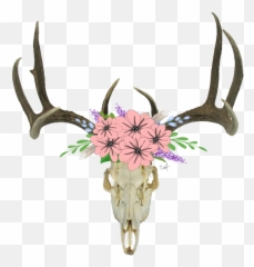 Deer Skull Transparent Background Cartoon - With Flowers png
