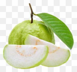B2b U2013 Sunsip Agro Processors - Guava Png,Guava Png