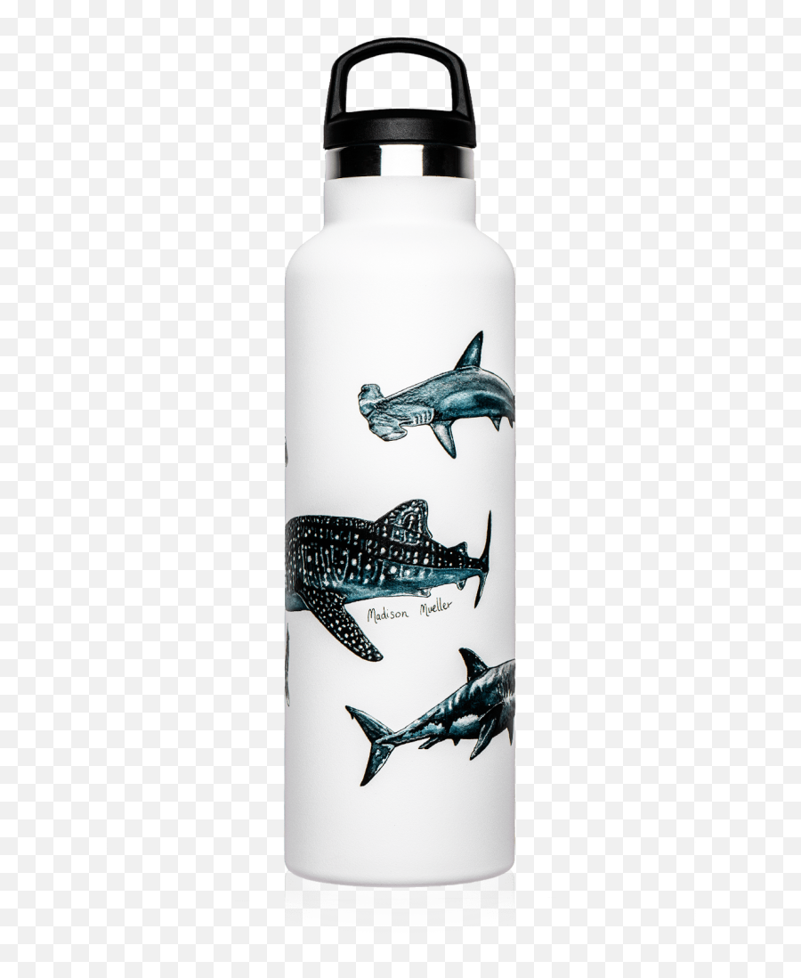 Shark Drawing Thermal Bottle Png Hammerhead