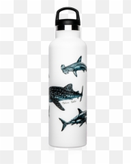 Shark Drawing Thermal Bottle Png Hammerhead