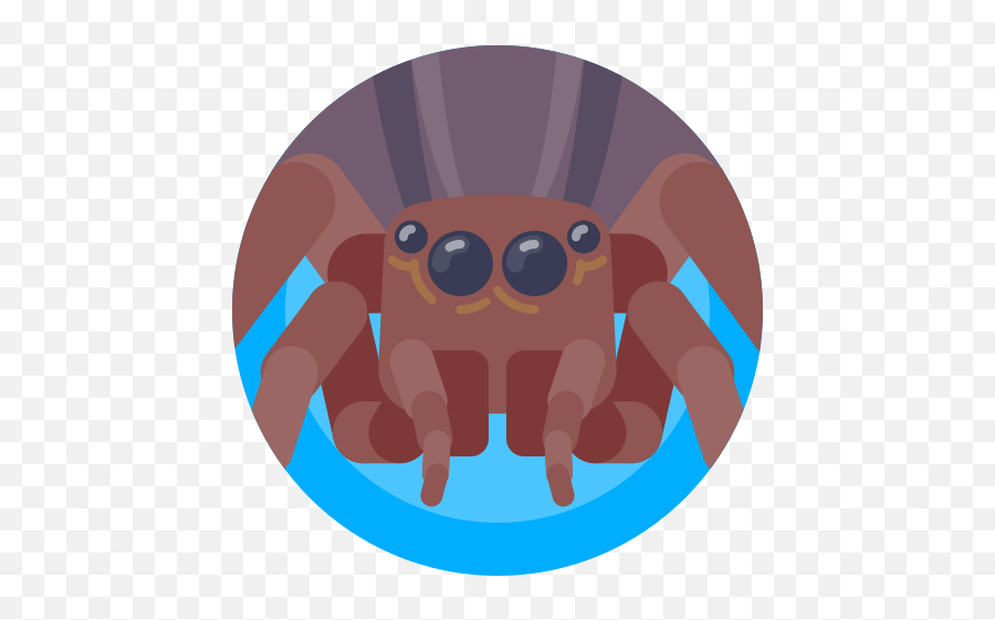 Avatar Bug Insect Spider Free Icon Of Xmas Giveaway - Circle Png,Cartoon Spider Png