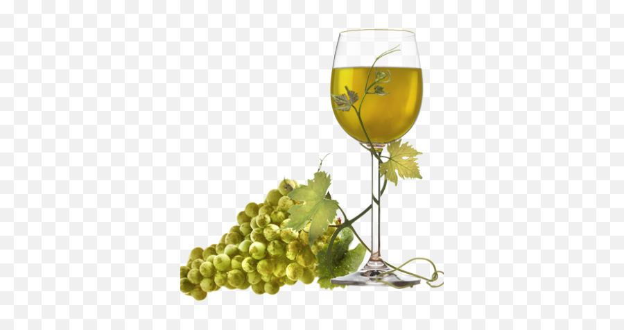 Download Hd White Wine Png Transparent - White Grapes Wine Png,White Wine Png