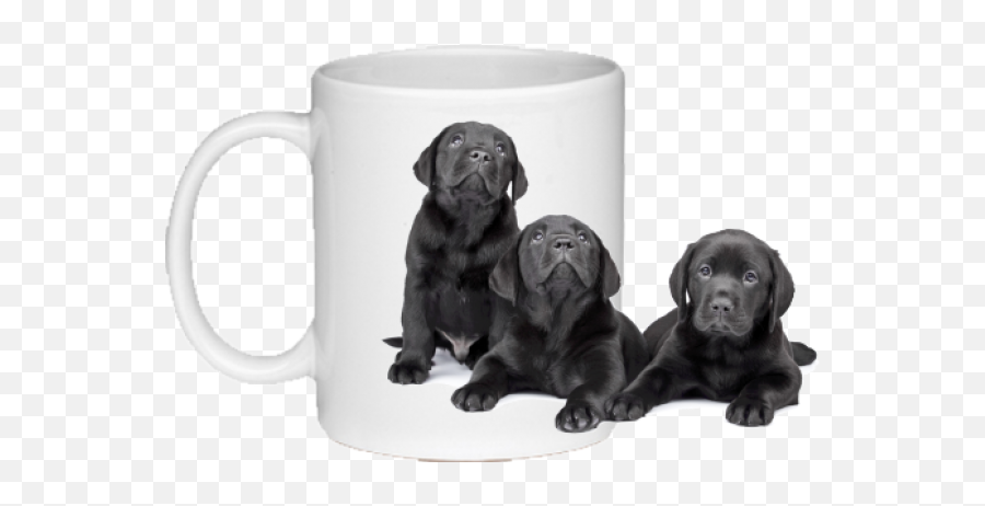 Black Lab Png - Mug,Black Lab Png