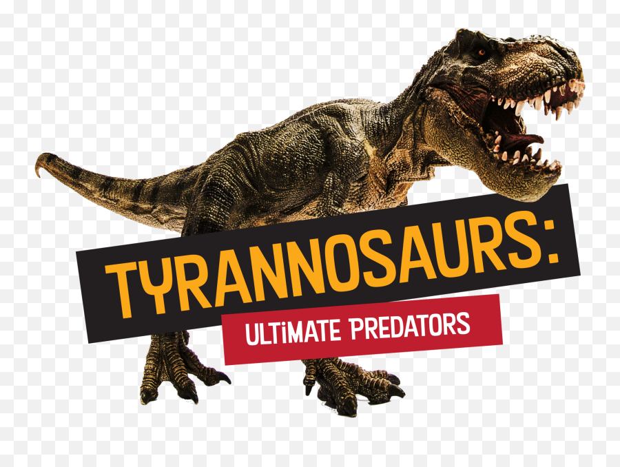 Tyrannosaurus Ultimate Predators - Lake Macquarie City Council Png,Dinosaur Logo