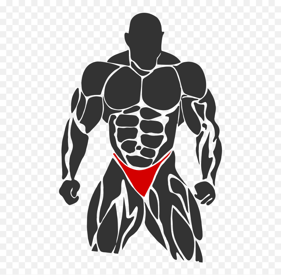 Bodybuilder with a Barbell | Bodybuilding, Gym art, Vector graphics