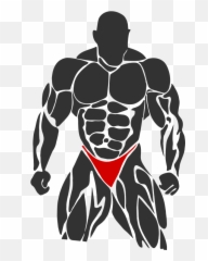 Bodybuilder - Openclipart Gym Image Hd png
