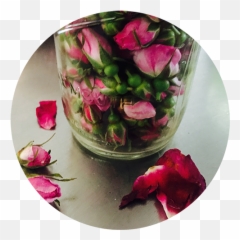 5 Ways To Eat Rose - Yes Magazine Still Life Photography png
