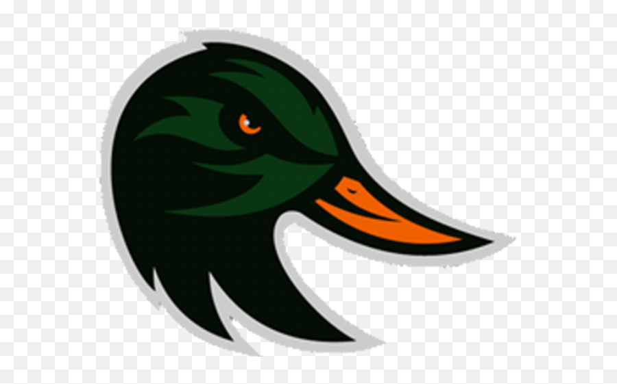 Taylor Ducks Logo Clipart - Full Size Clipart 4443917 Ducks Png,Anaheim Ducks Logo Png