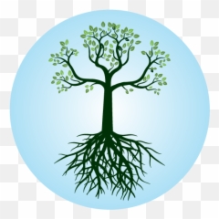 The Life Health Center - Root png