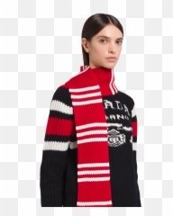 Cashmere Scarf - Long Sleeve png