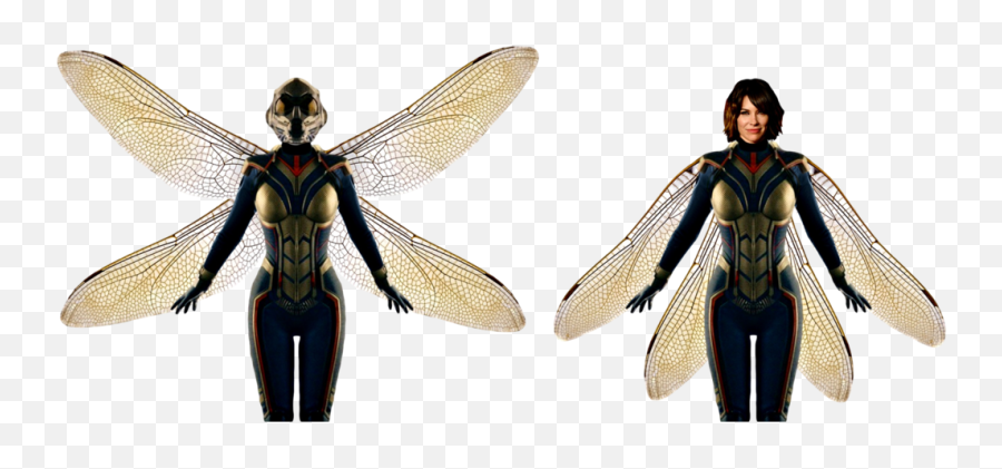 Png Vespa Wasp Ant Man - Wasp Ant Man Png,Antman Png