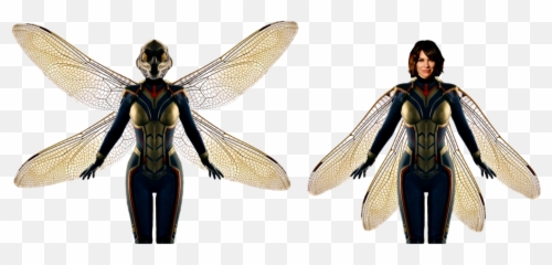 Png Vespa Wasp Ant Man - Wasp Ant Man Png,Antman Png