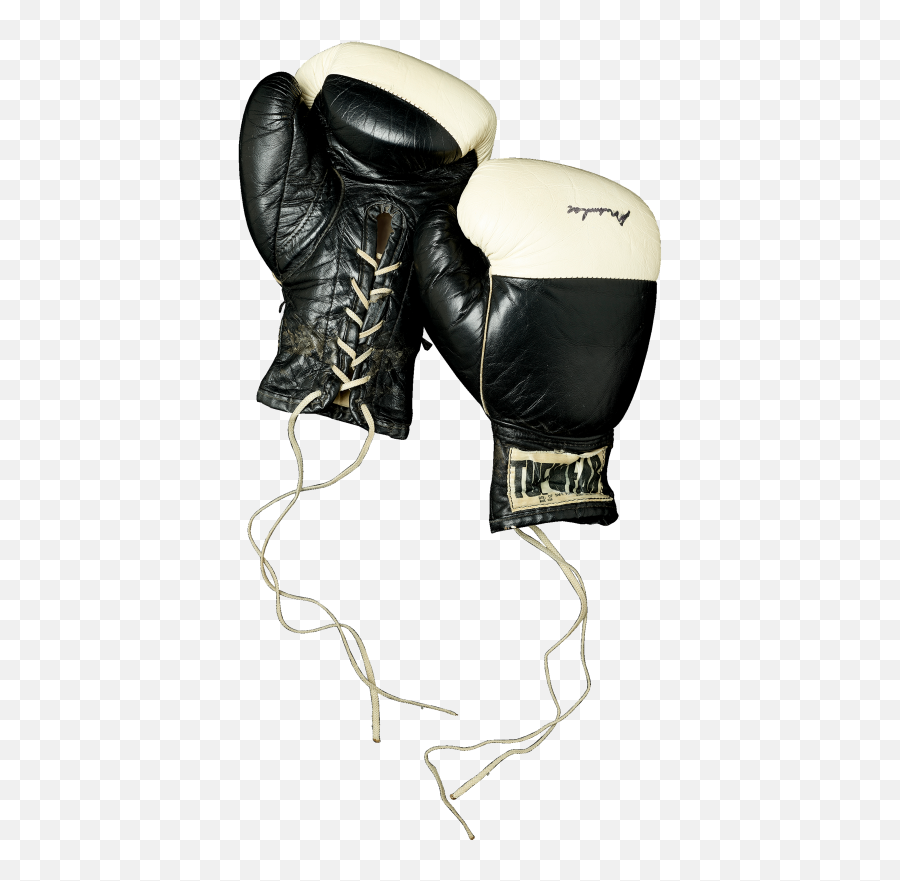 Alexander Bitar - Boxing Glove Png,Muhammad Ali Icon