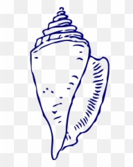 Sea Shell 5 Png Svg Clip Art For Web - Download Art