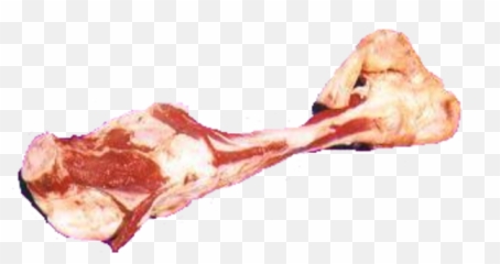 Bone Png Transparent Images Free Download Clip Art - Meat Png
