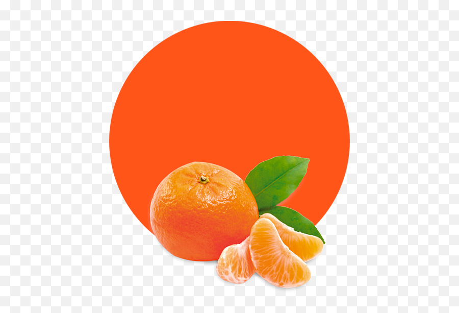Clementine Oil - Orange Fruit Png,Clementine Png