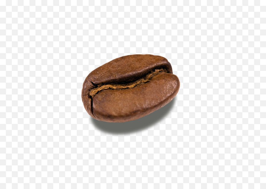 one coffee bean