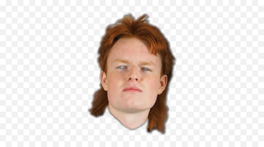 Download Report Abuse - Gingers With A Mullet Png,Mullet Png