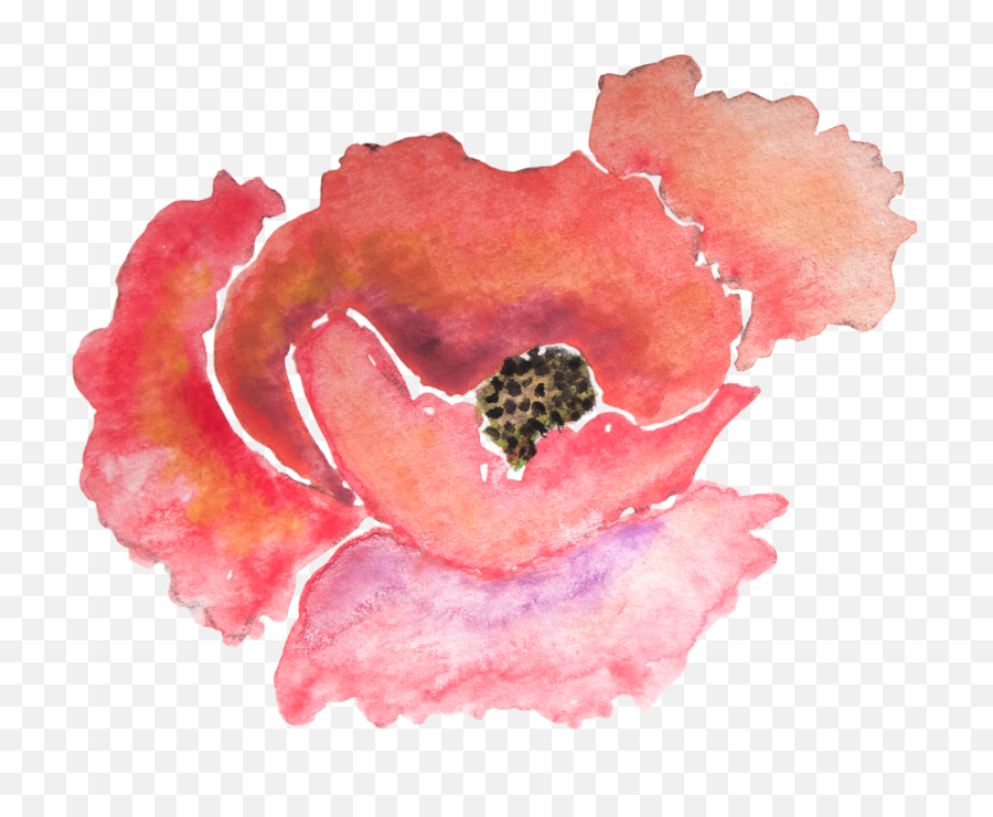Png Clipart Black And White Stock - Watercolour Poppies Png,Poppy Png