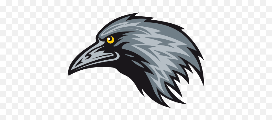 Crow Head Png Picture 555029 - Logo Vector Head Crow,Crow Transparent