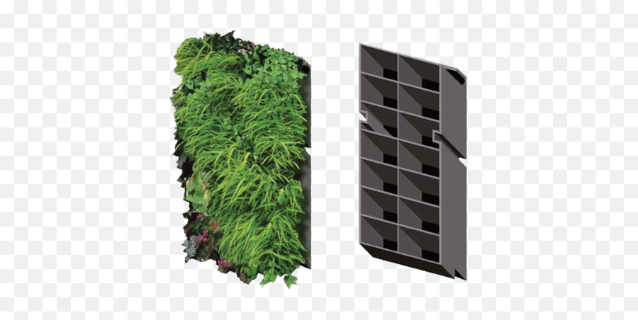 Request A Living Wall Consultation - Green Wall System Png,Green Wall Png