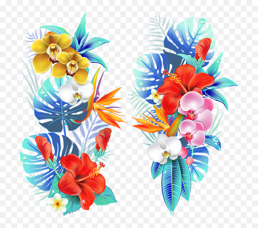 Tropical Medellin Flowers Fair Of - Tropical Flower Vector Png,Tropical Png