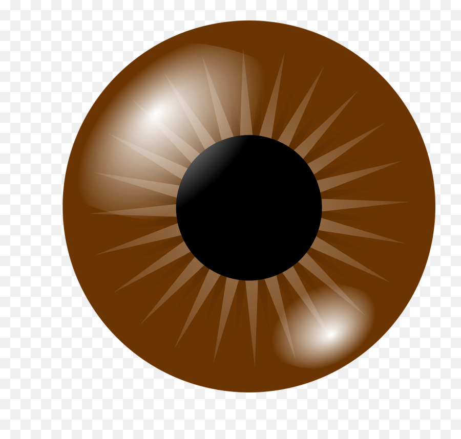 Eyeball Eye Iris - Brown Eyes Clipart Png,Human Eyes Png