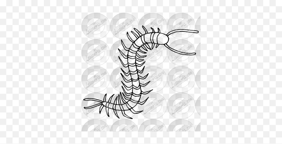 Library Of Centipede Outline Banner Free Png Files - Illustration,Centipede Png