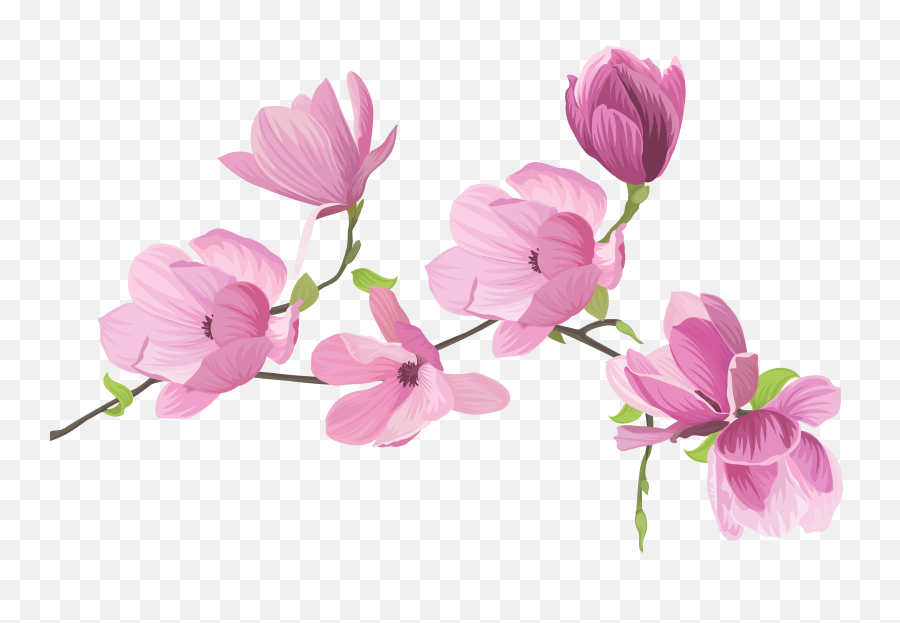 Clip Art Sweet Pea Flower Png - Transparent Background Flower Clipart,Flowers Png Images