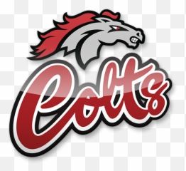 About - Graphic Design Png,Colts Logo Png