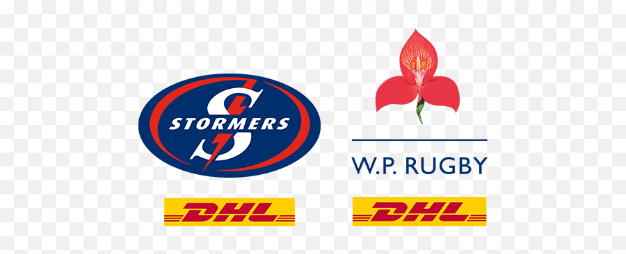 Dhl Western Province Logo Transparent - Stormers Rugby Logo Png,Dhl Logo Png