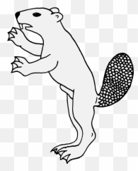 Beaver - Traceable Heraldic Art Line Art Png,Beaver Png
