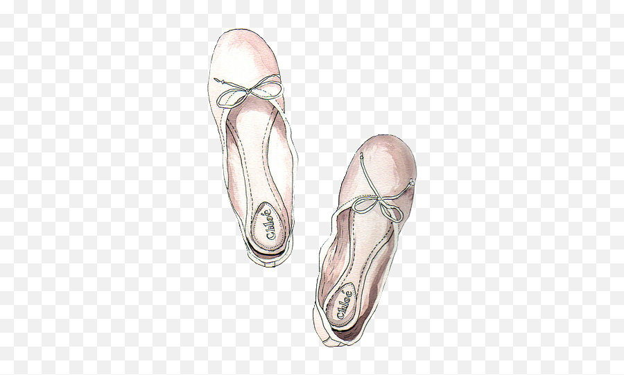 Download Chloe Ballet Flats - Ballerina Shoes Pattern Drawn Flat Ballet Shoe Png,Ballerina Shoes Png