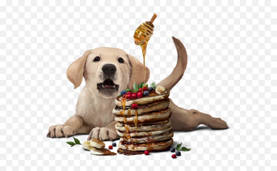 Party - Labrador Retriever Png,Pancakes Png