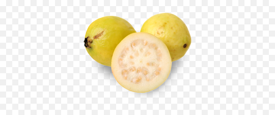Iqf Guava Organic Puree Pulp Custom Blend Juice Usa - Png,Guava Png
