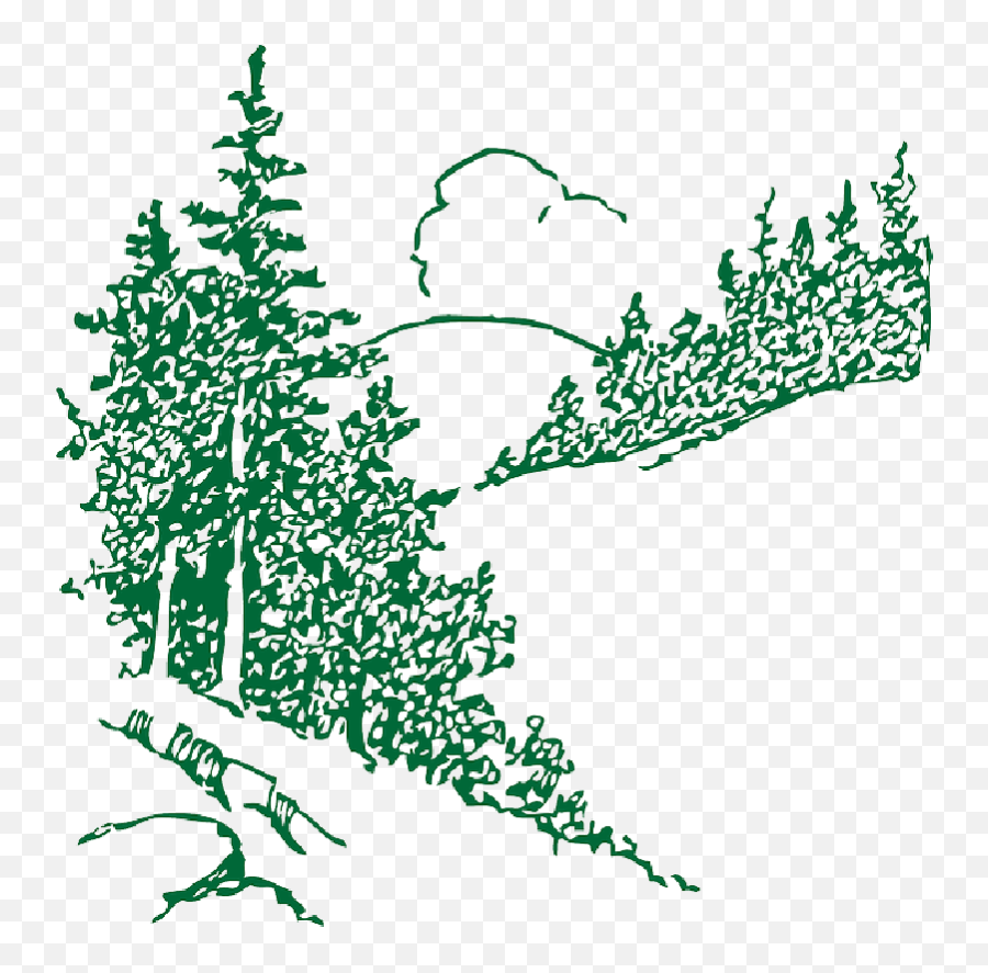 Download Mountain With Trees Outline Png - Pine Pine Trees Clipart Outlines,Tree Outline Png